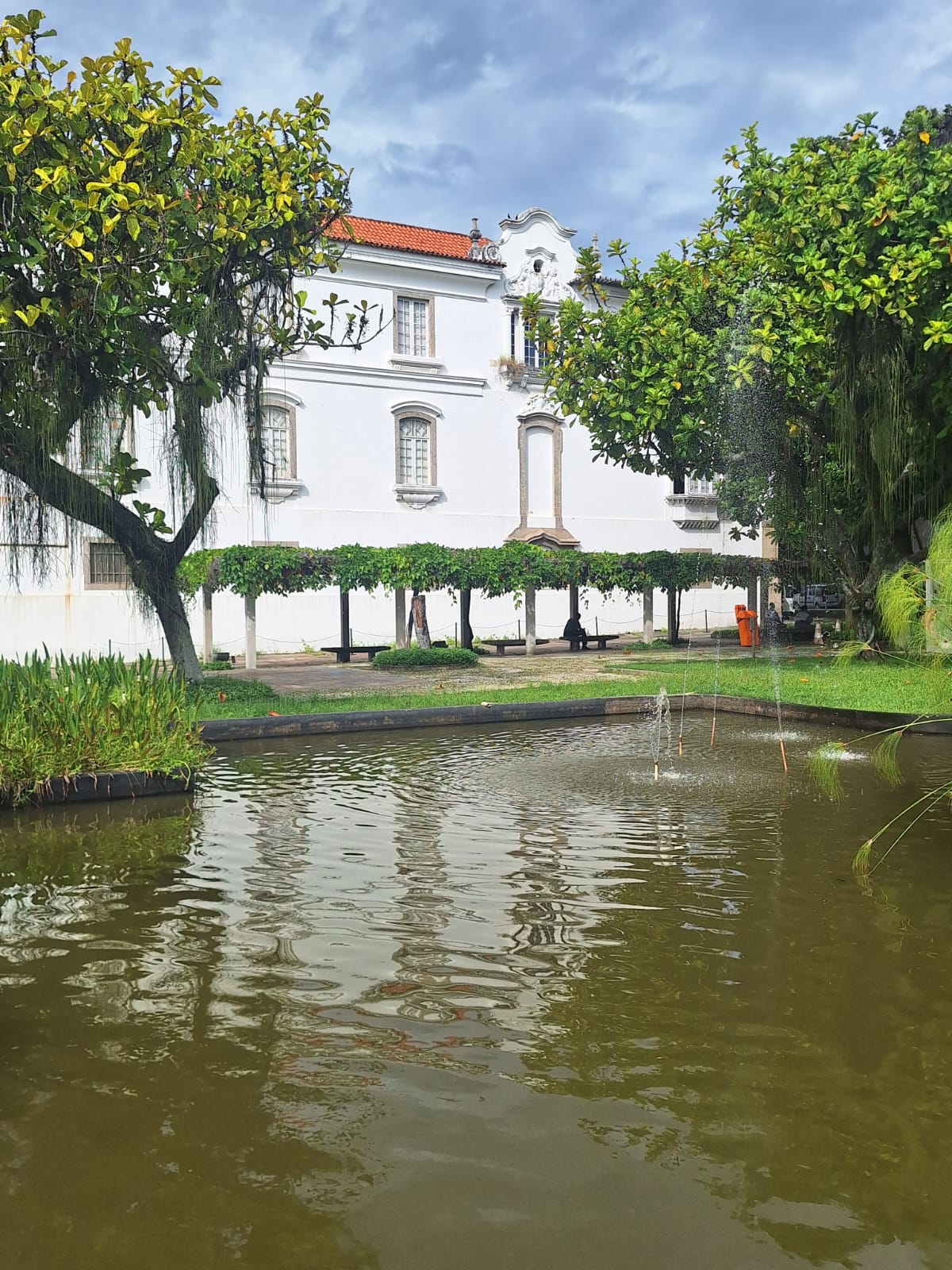 Enquanto o prédio passa por reformas, visite os jardins do MHN!